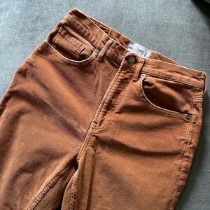 Everlane ANKLE cords - acorn / copper color